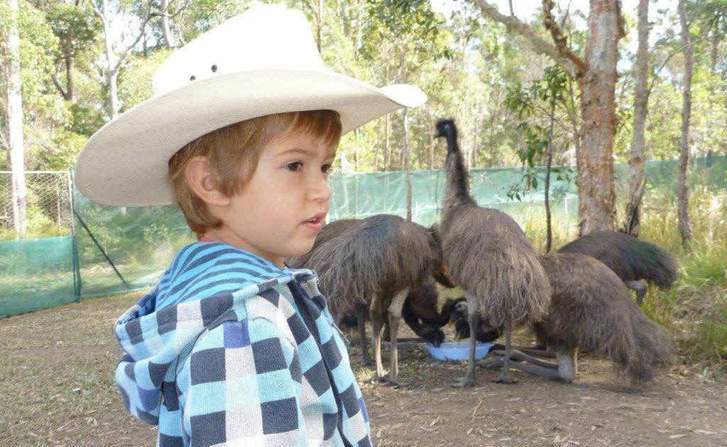 Kerry Cranney’s grandson Bryce takes a close look at the chicks. Kerry Cranney’s grandson Bryce takes a close look at the chicks.